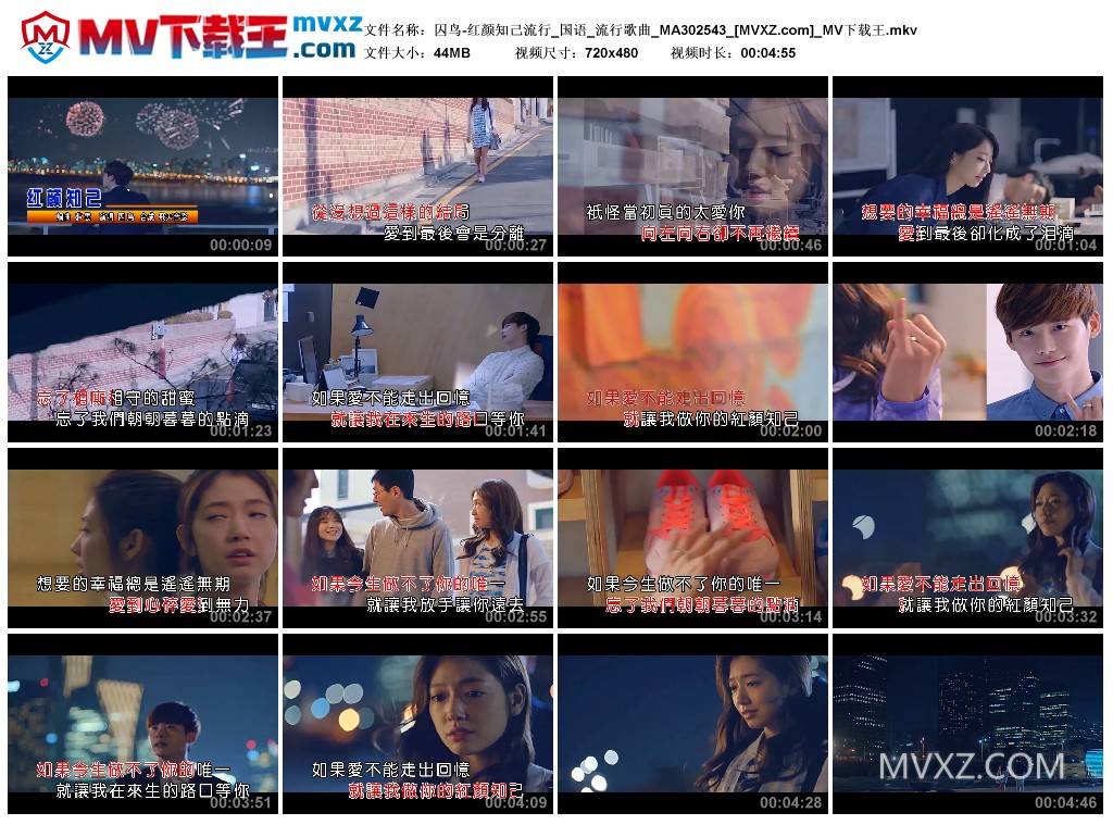 囚鸟-红颜知己流行_国语_流行歌曲_MA302543